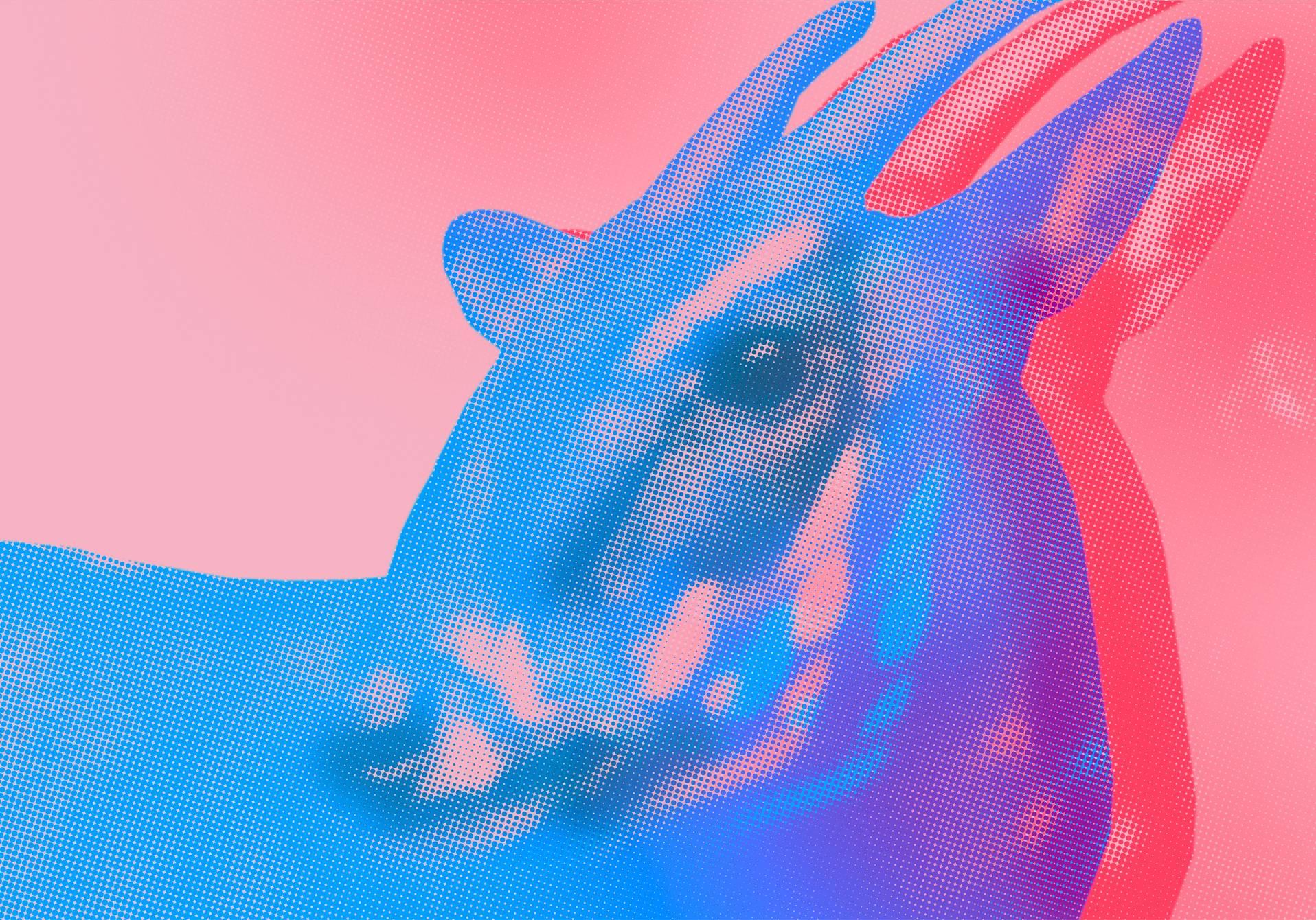 photo recolorisée en rose et bleu d'un saola, ou bœuf du Vu Quang, ou licorne d'Asie, un animal rarissime vivant entre Laos et V