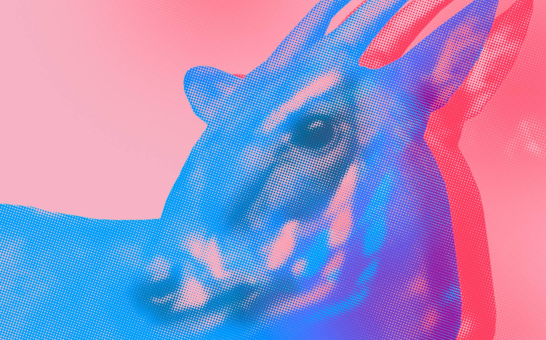 photo recolorisée en rose et bleu d'un saola, ou bœuf du Vu Quang, ou licorne d'Asie, un animal rarissime vivant entre Laos et V