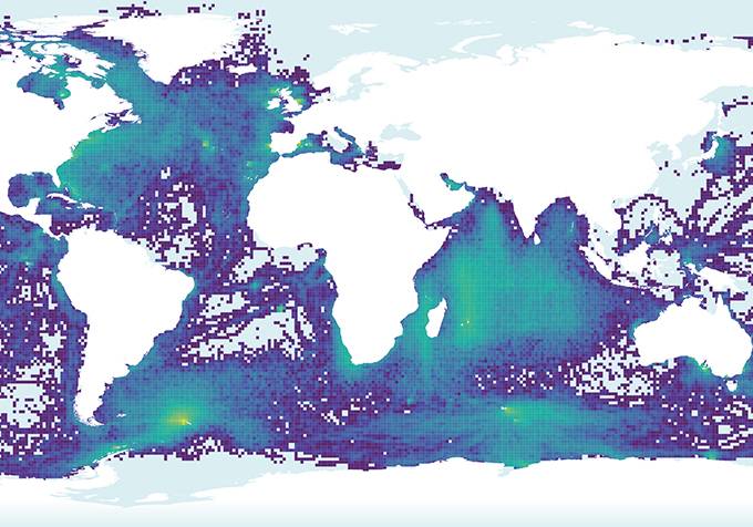 atlas mondial de la mégafaune marine publié dans le magazine scientifique d'actualité epsiloon
