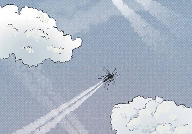 illustration de l'invasion de moustiques tigres en france