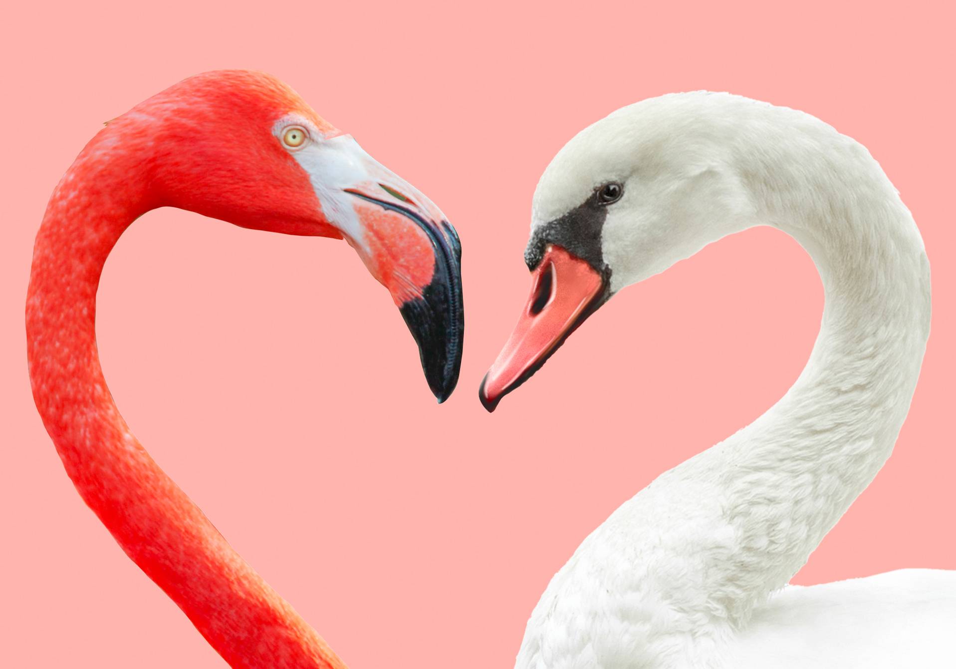 article du magazine scientifique d'actualité epsiloon sur l'hybridation des animaux