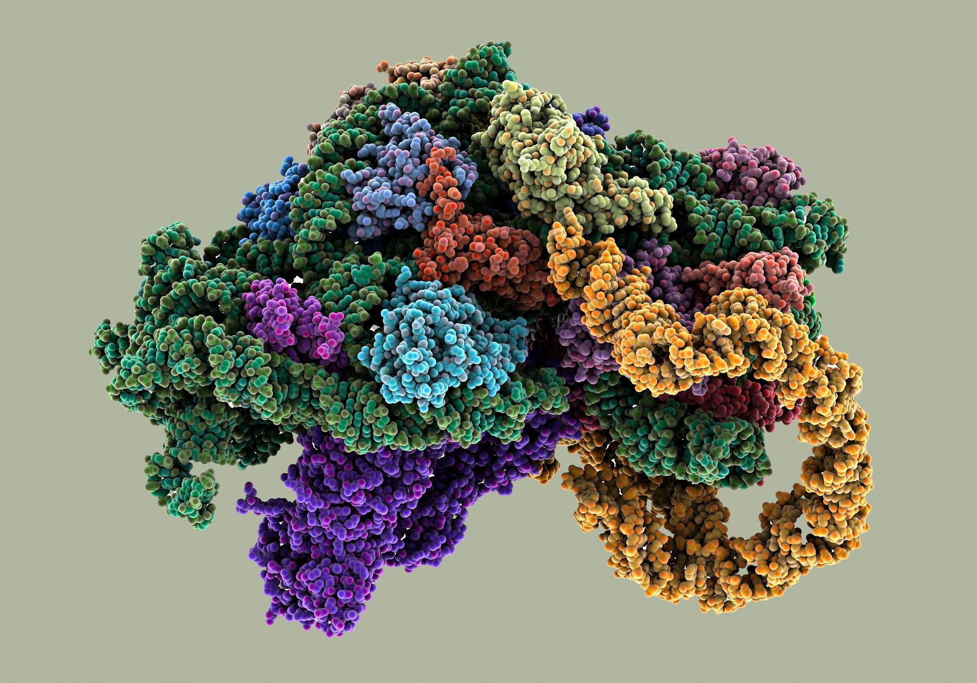 article sur le ribosome, dans hors-série epsiloon, le magazine scientifique d'actualité