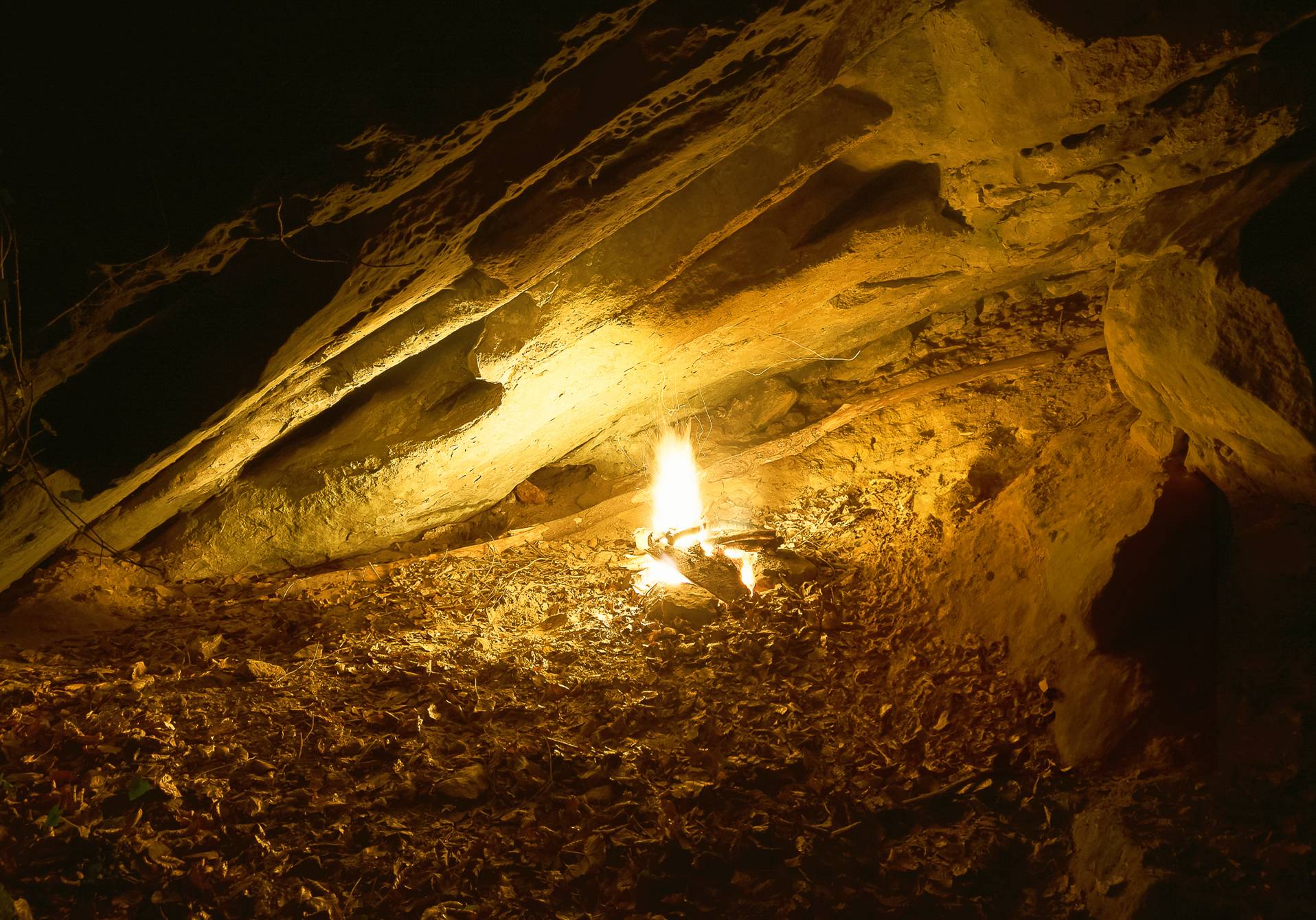 article sur comment le feu a créé l'humain du magazine scientifique d'actualité Epsiloon