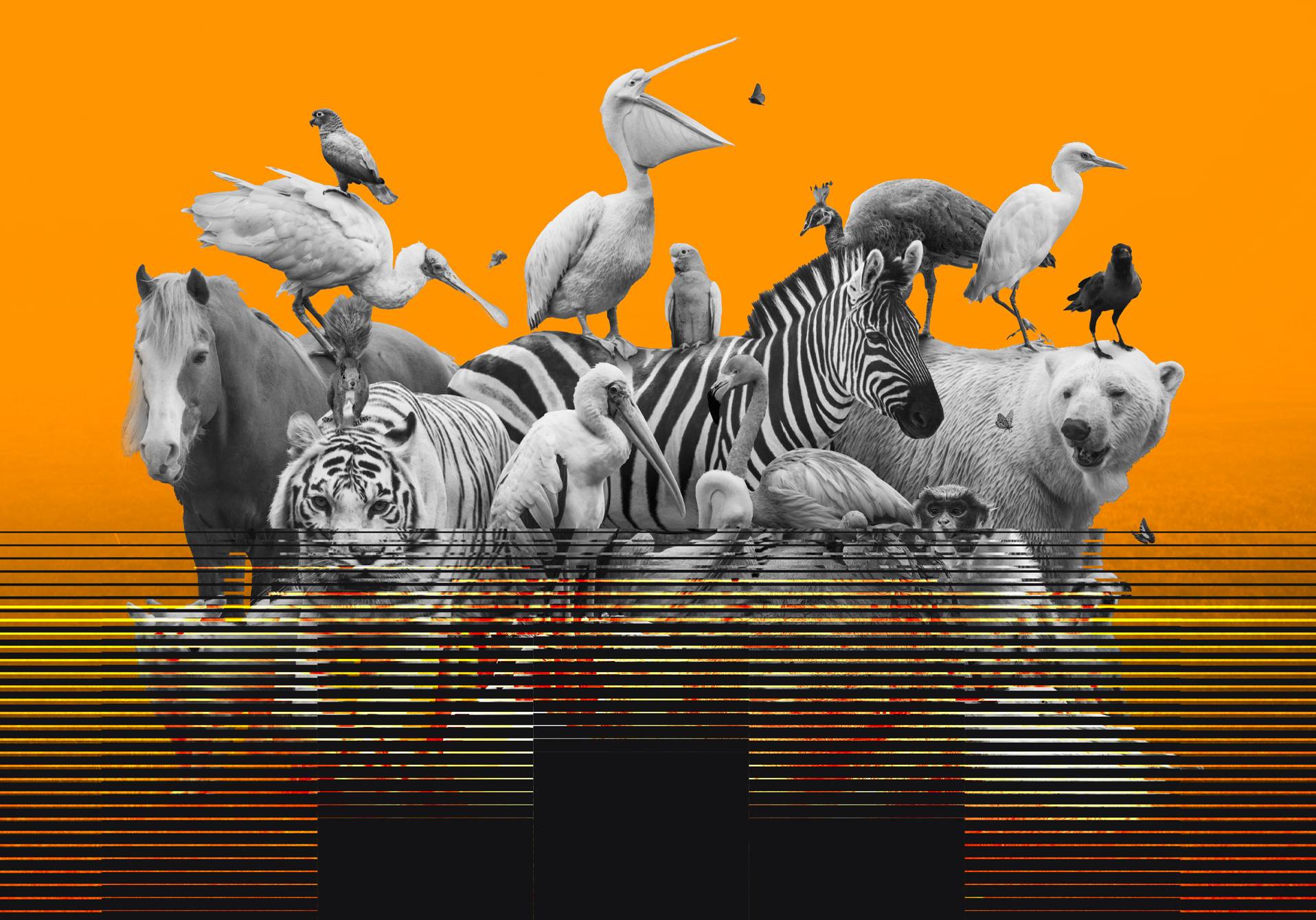 illustration de la 6e extinction de masse avec des animaux sauvages