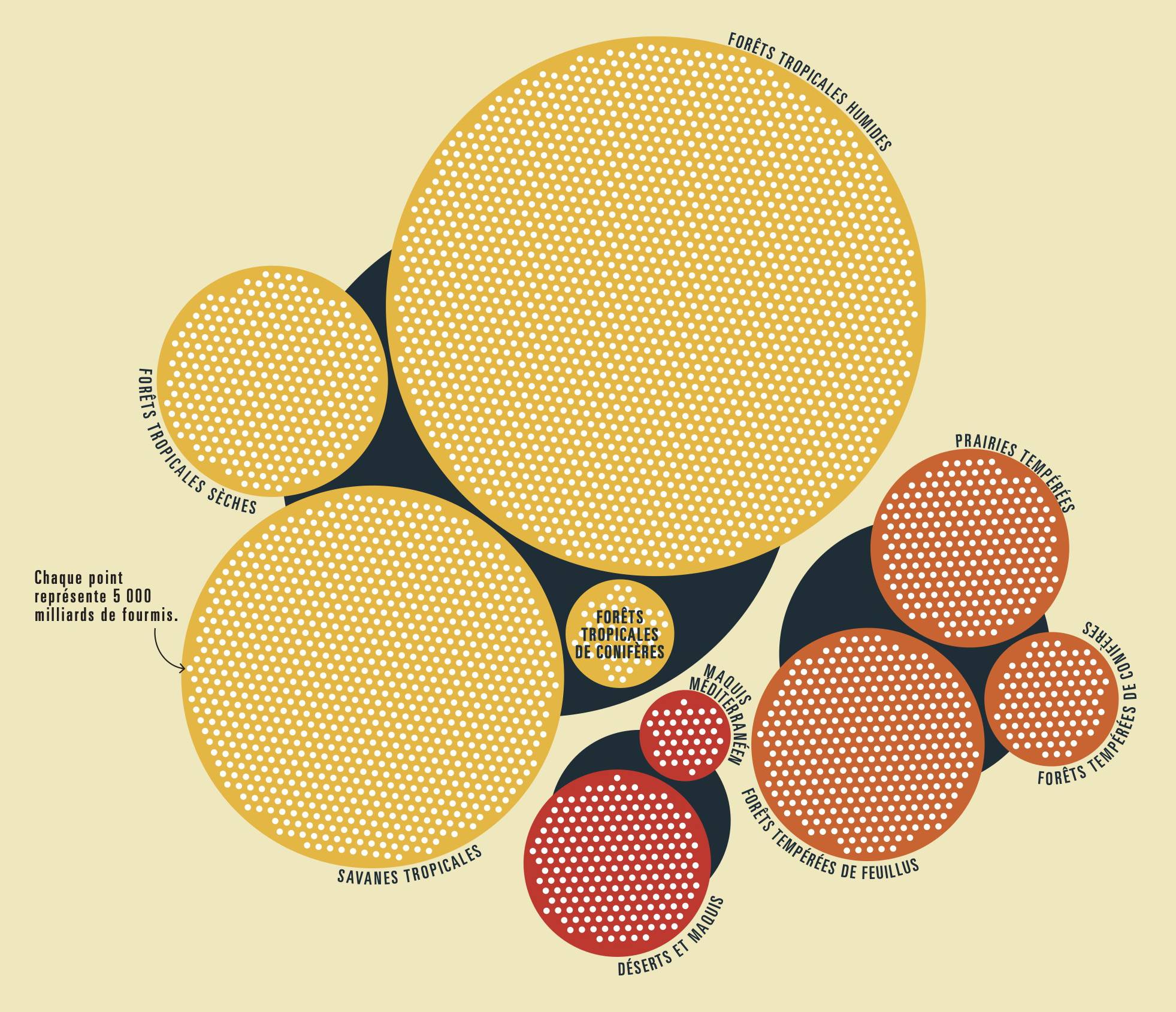 graphique représentant le nombre de fourmis sur Terre