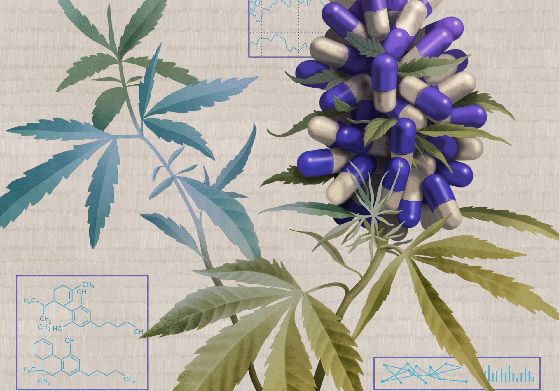 illustration de l'analyse sur l'efficacité du cannabis médical