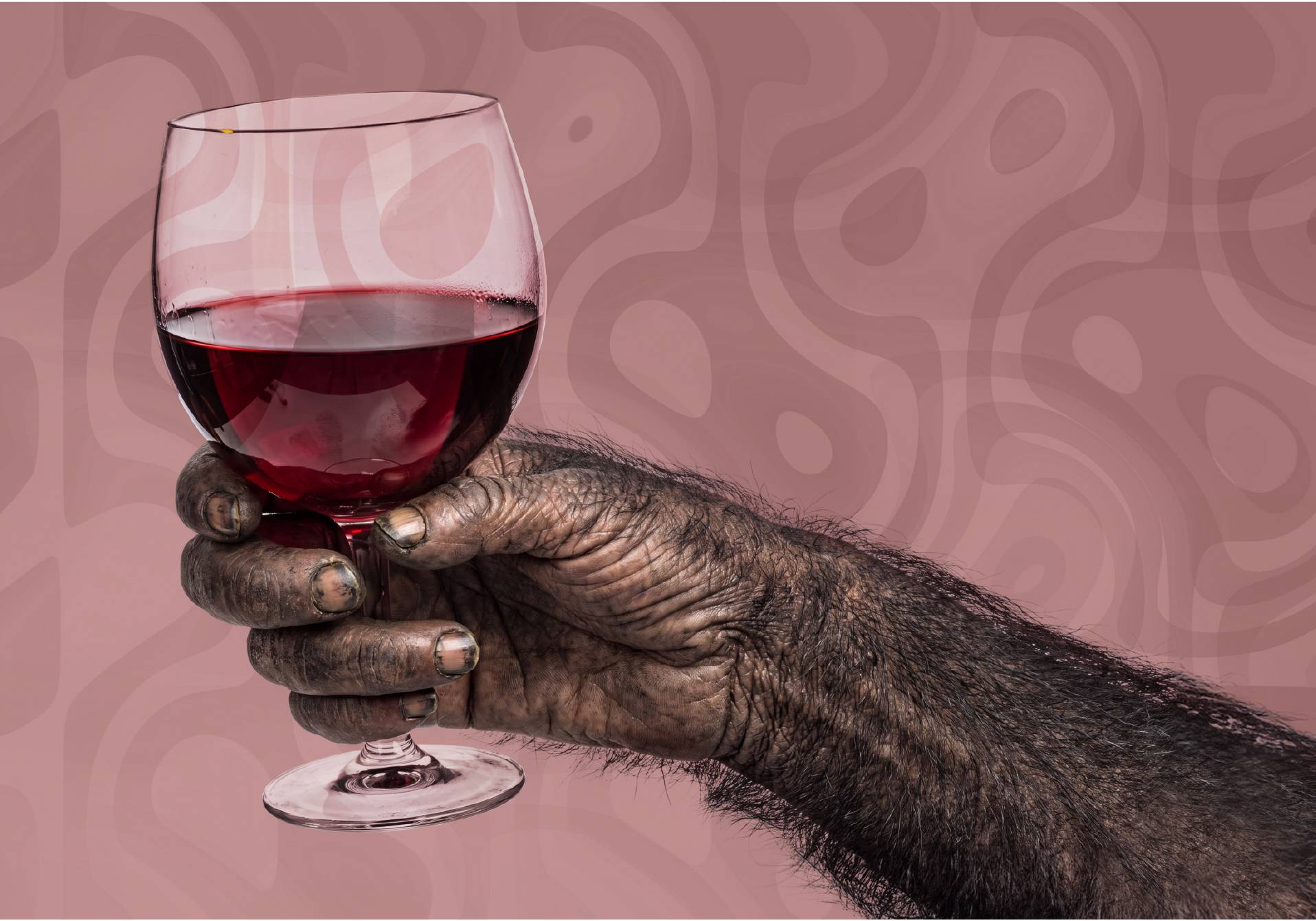l'histoire de l'alcool, une enquête du magazine scientifique d'actualité epsiloon 63