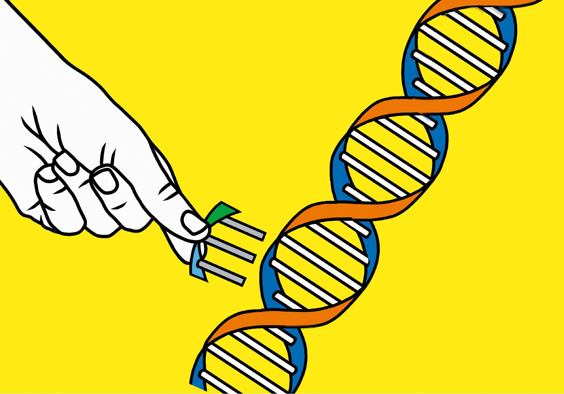 illustration d'un ADN que l'on bricole