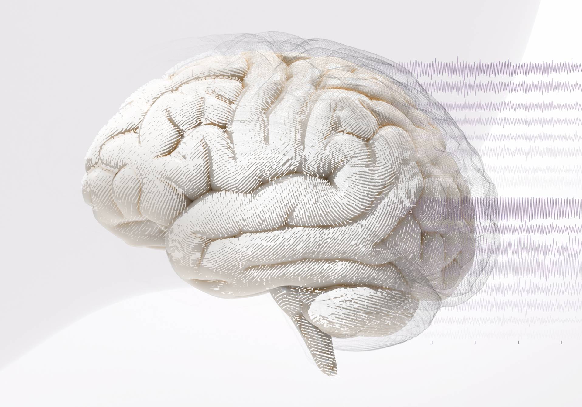 cerveau et les 16 encéphalogrammes