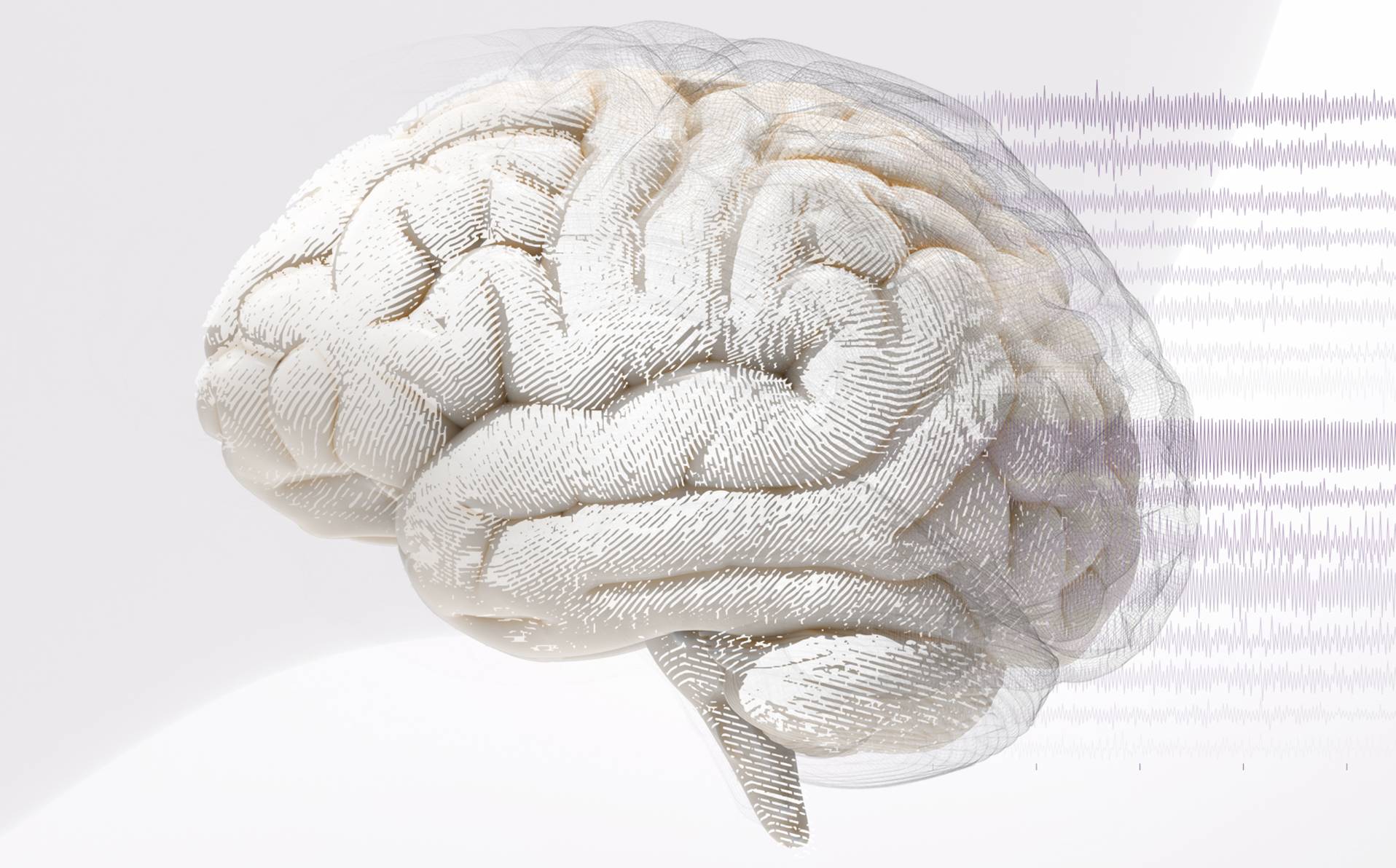 cerveau et les 16 encéphalogrammes