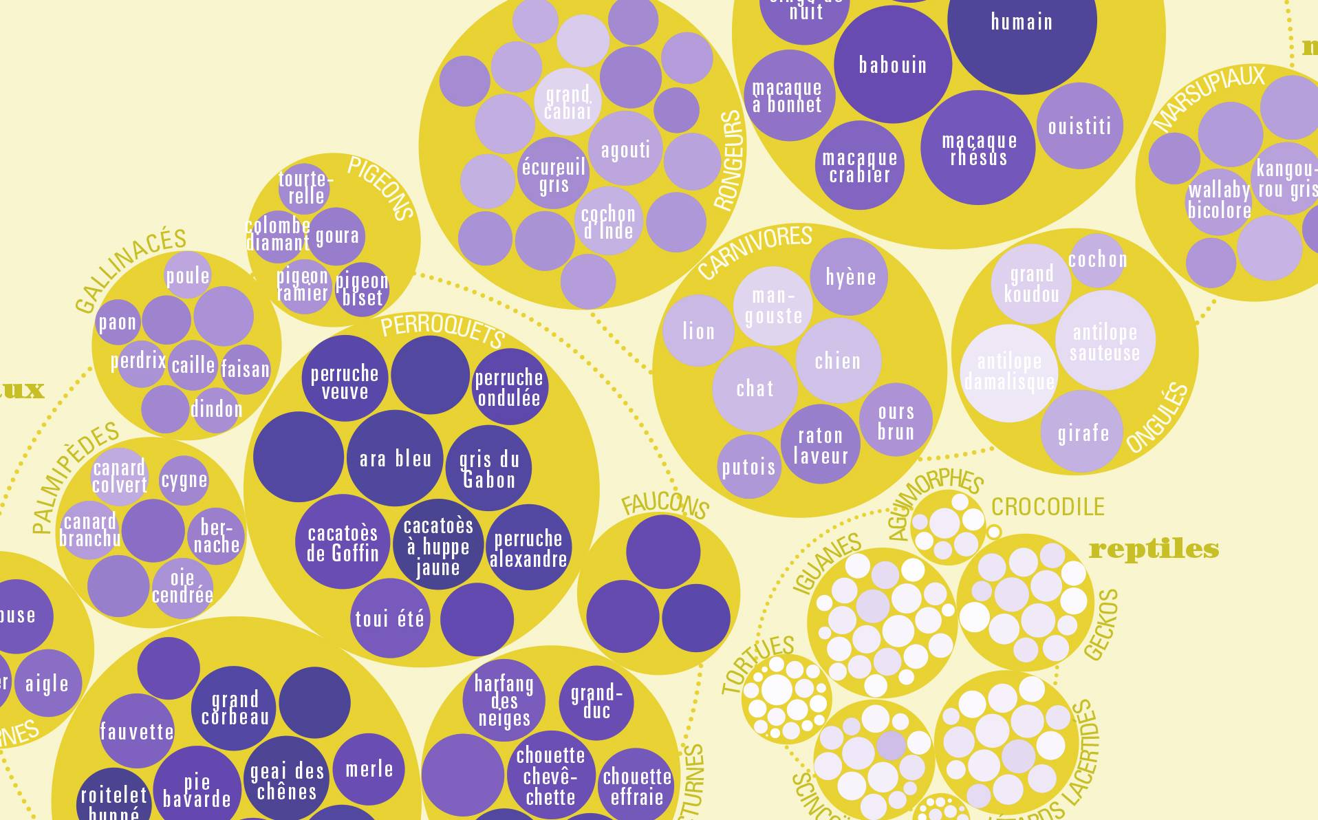 graphique montrant la densité de neurones et nombre par animal