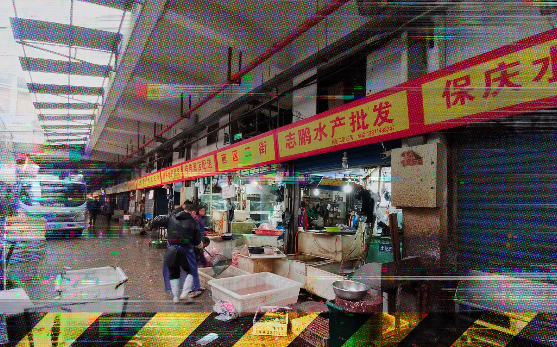 photographie du marché de Wuhan en Chine