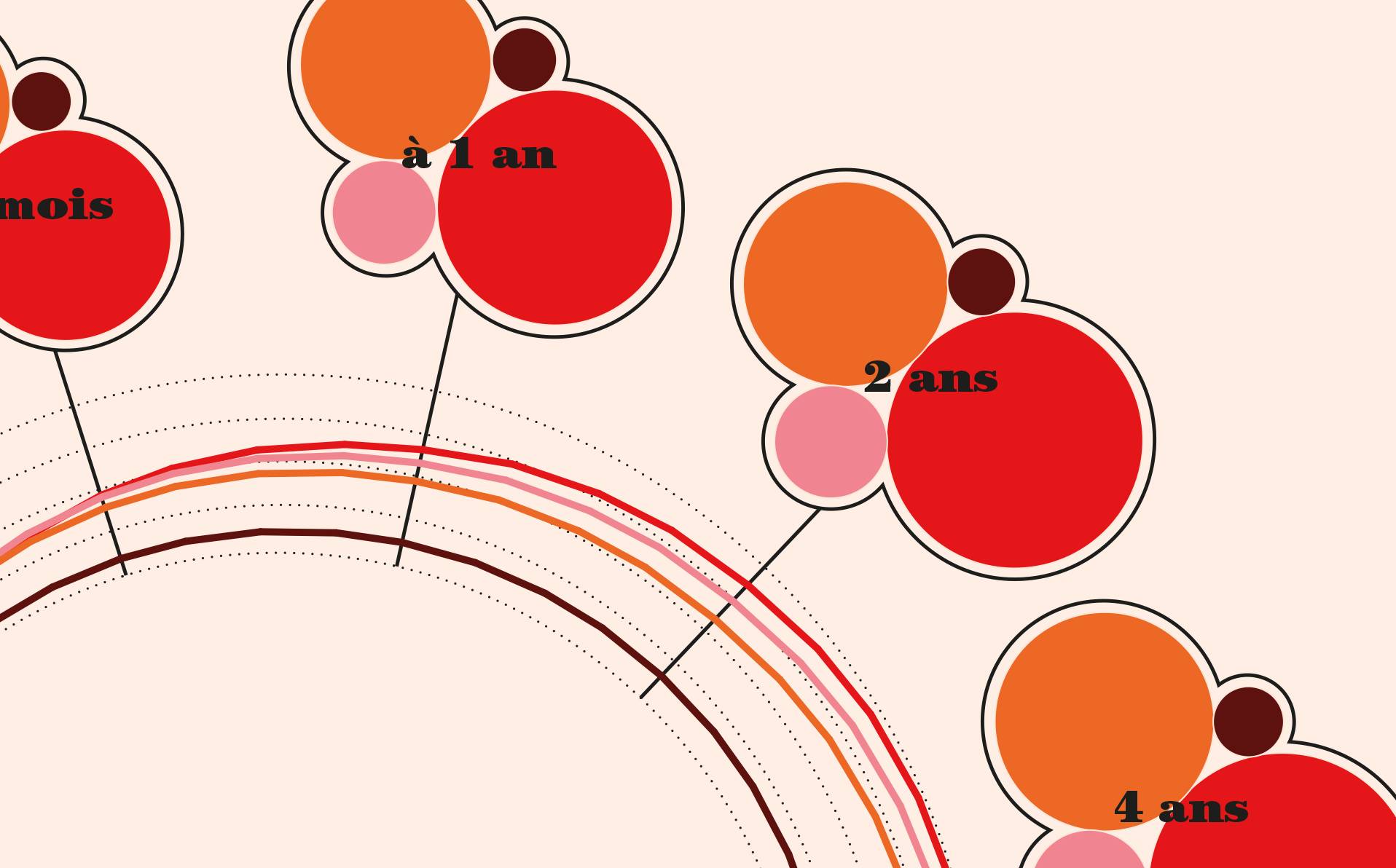 graphique présentant la croissance de notre cerveau