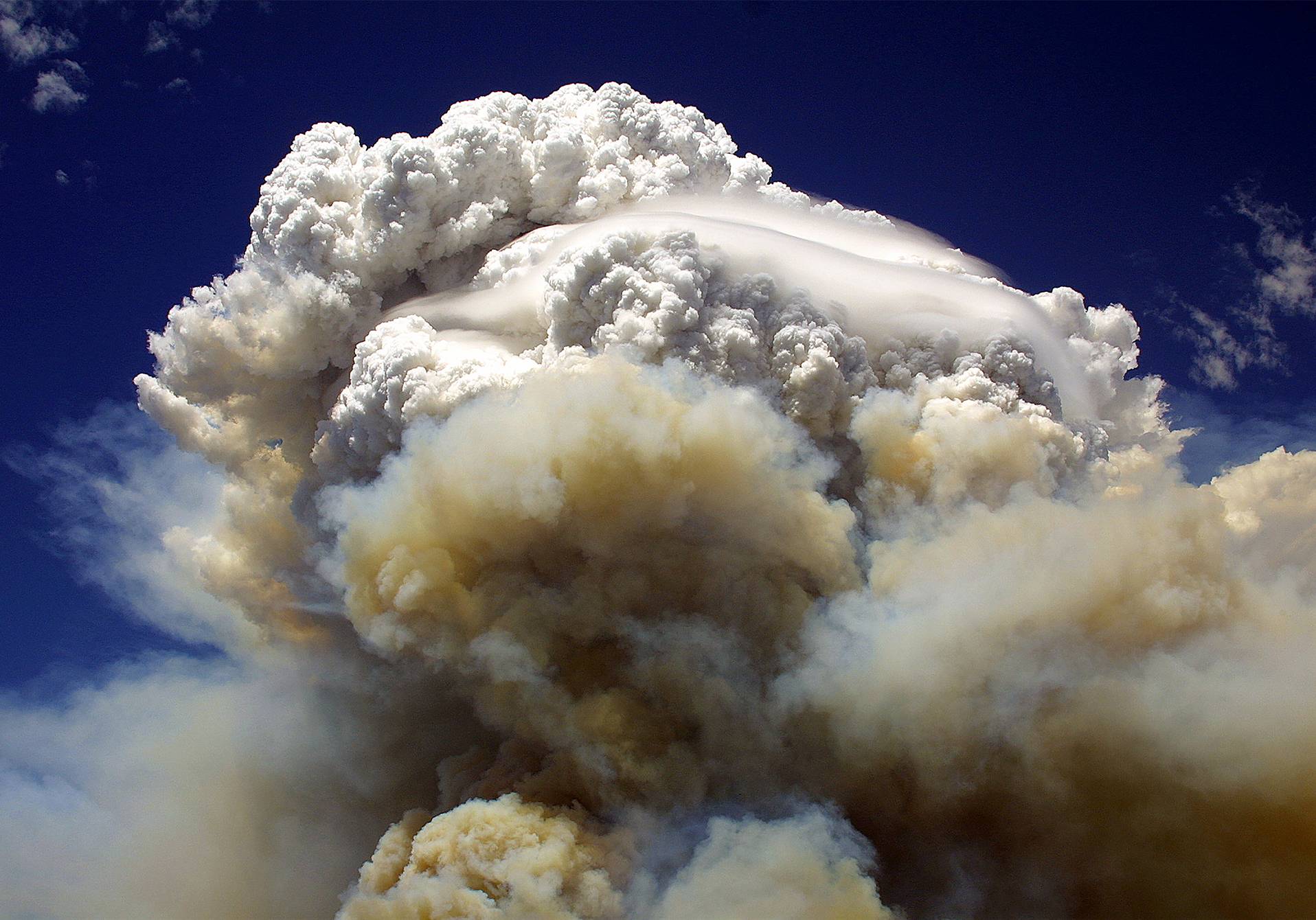 méga-monstre climatique, le vortex stratosphérique