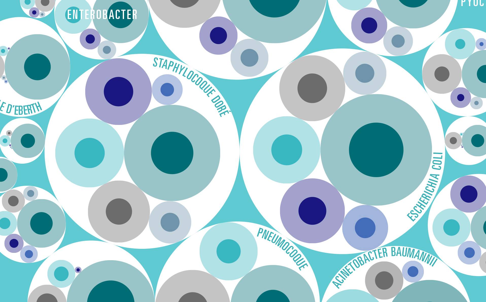 graphique présentant le nombre de morts par région du monde par les 23 pathogènes antibiorésistants les plus meurtriers