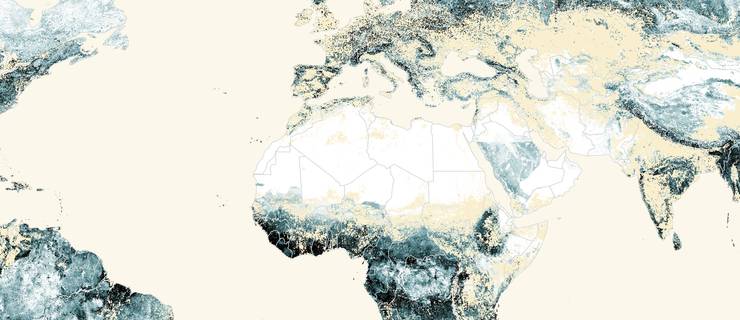atlas des endroits où les écosystèmes pourraient stocker plus de carbone