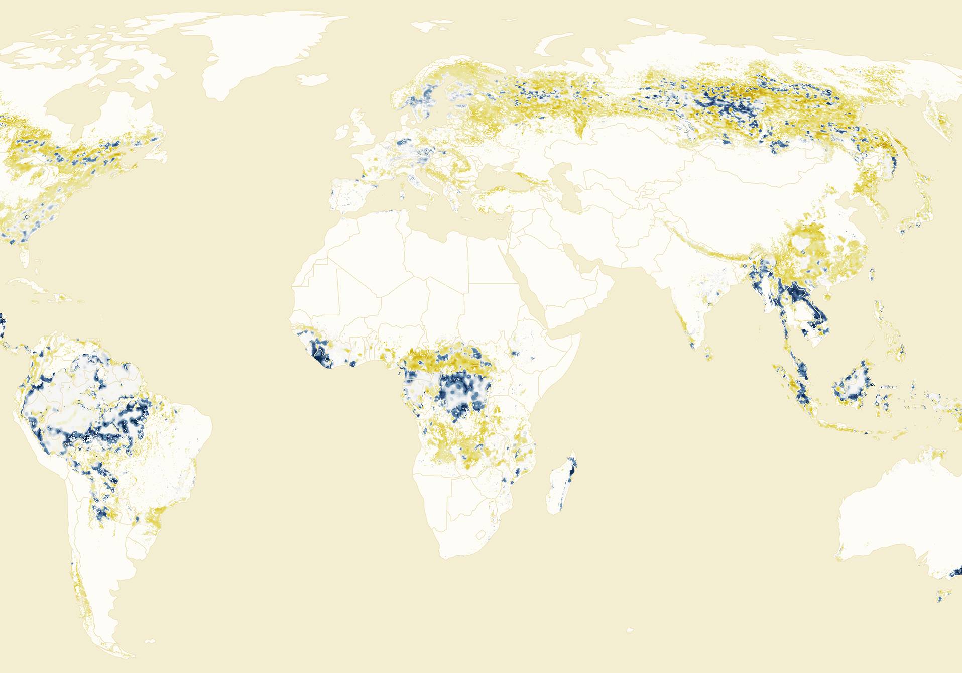 atlas de l'évolution de la fragmentation des forêts