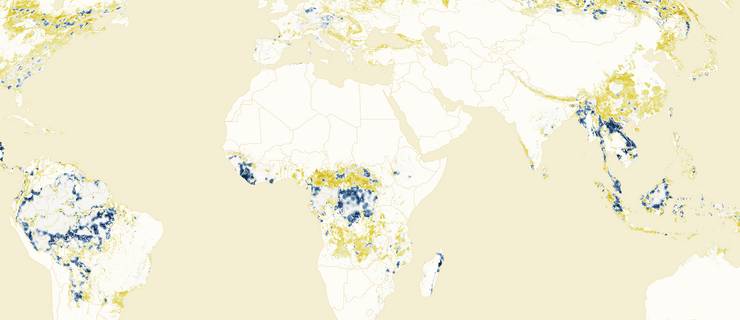 atlas de l'évolution de la fragmentation des forêts