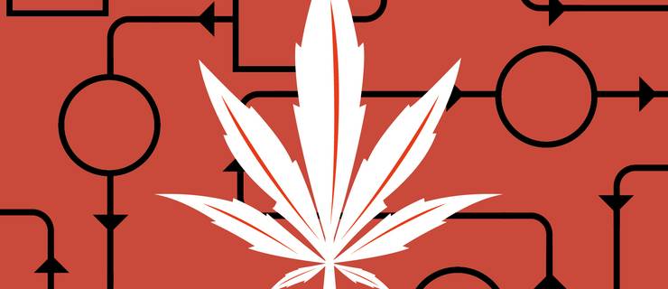 illustration du casse-tête du cannabis