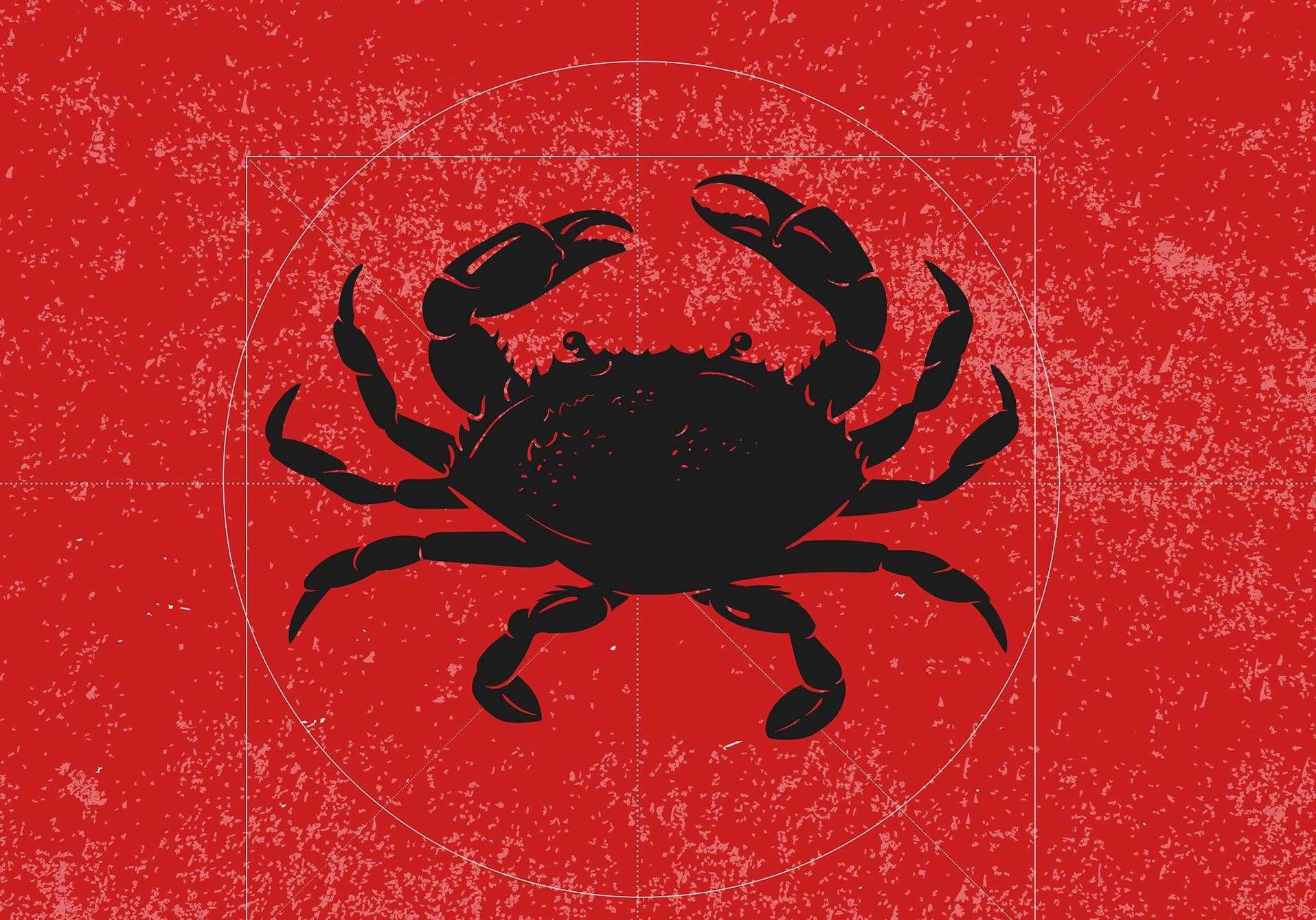 illustration de la forme du crabe