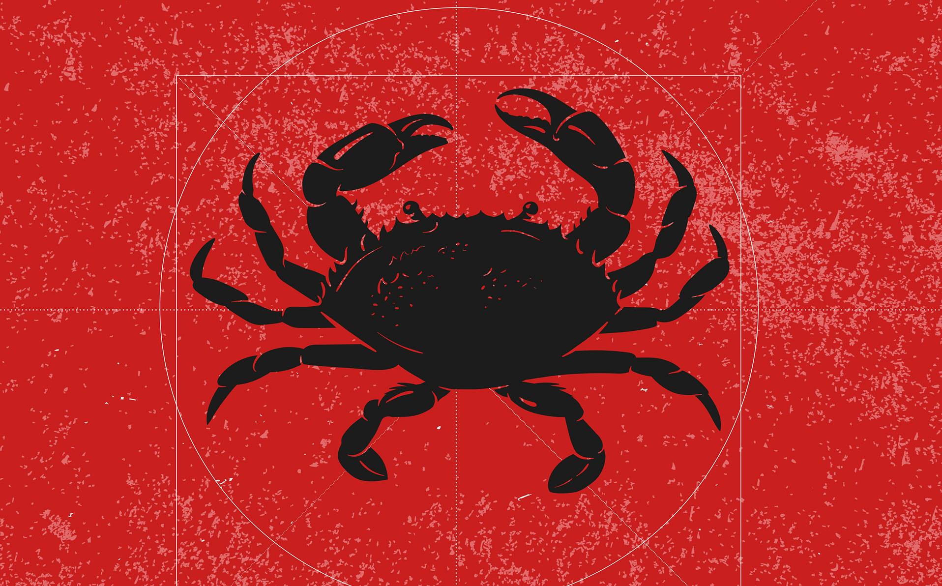 illustration de la forme du crabe