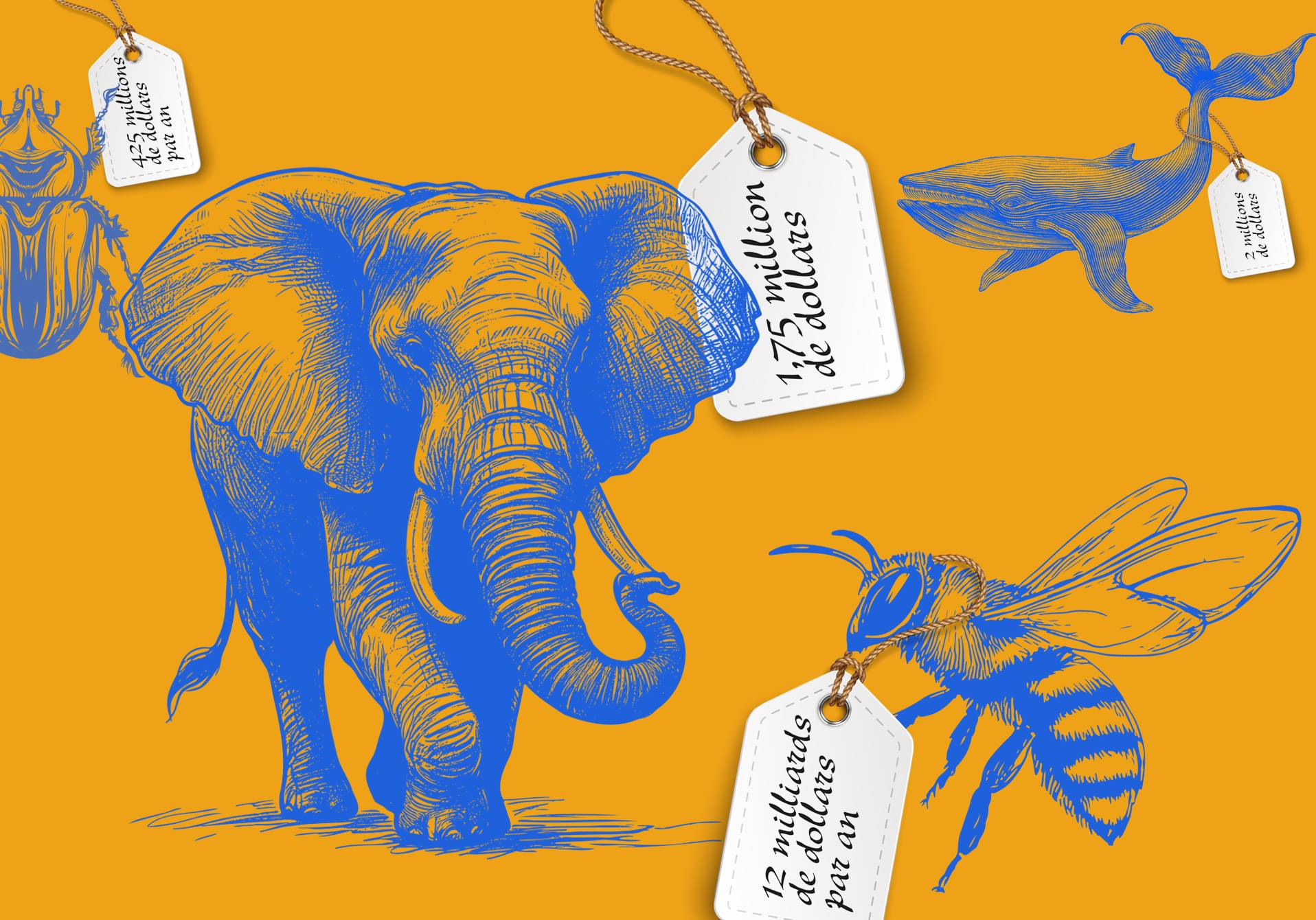 illustration du prix de la vie des animaux