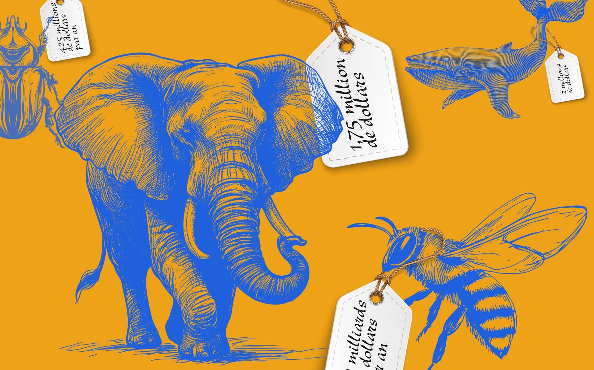 illustration du prix de la vie des animaux